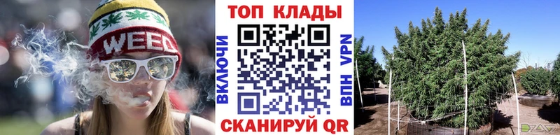 Хочу наркоту Бердск Cocaine  Alpha-PVP  ГАШ  Бошки Шишки  Бутират  Меф 