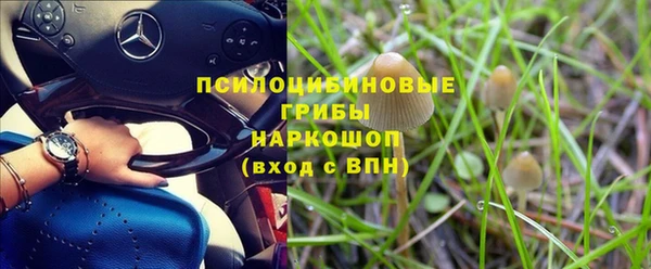 круглые Зеленокумск