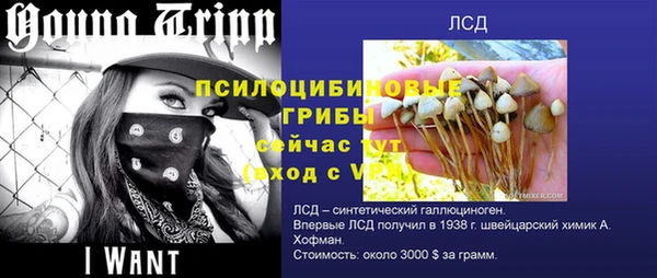 круглые Зеленокумск