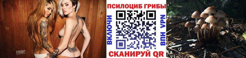 Псилоцибиновые грибы GOLDEN TEACHER  hydra ссылка  Бердск 